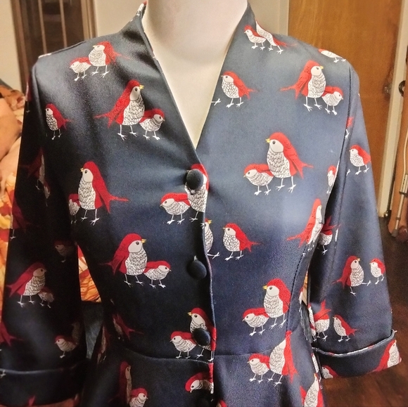 Miss Yan Bird Patterned Dark Academia Teacher Button Up Dress Size Small - Picture 6 of 13